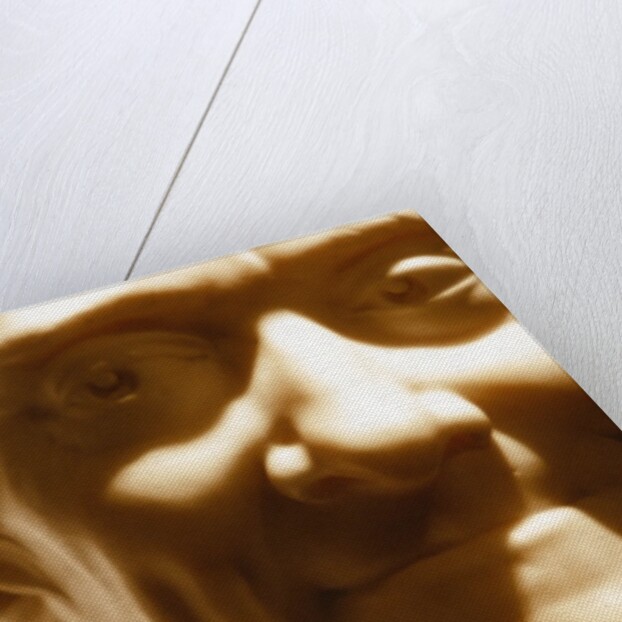 Francois Marie Aronet de Voltaire, detail by Stuart Cox