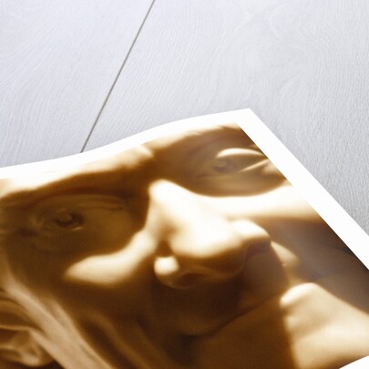 Francois Marie Aronet de Voltaire, detail by Stuart Cox