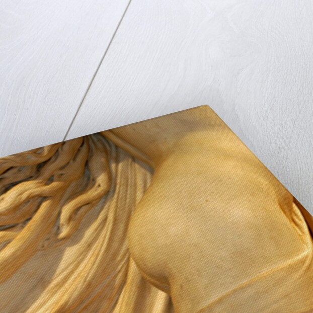 The Sleep of Sorrow and the Dream of Joy, detail by Stuart Cox