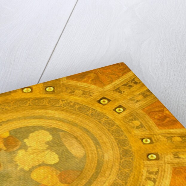 Casa Maffi, detail of ceiling by Stuart Cox