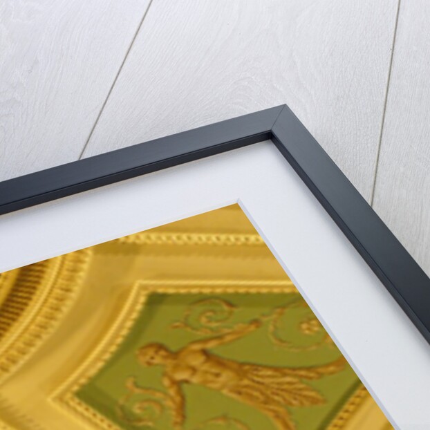 Adelphi Ceiling, detail by Stuart Cox