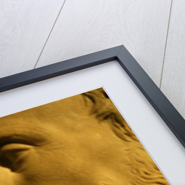 Valerio Belli by Stuart Cox