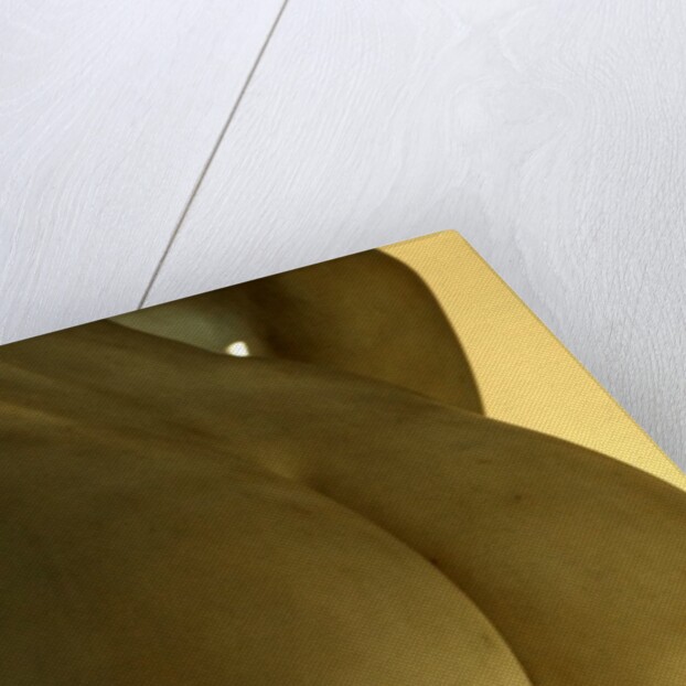 Castor & Pollux, detail by Stuart Cox