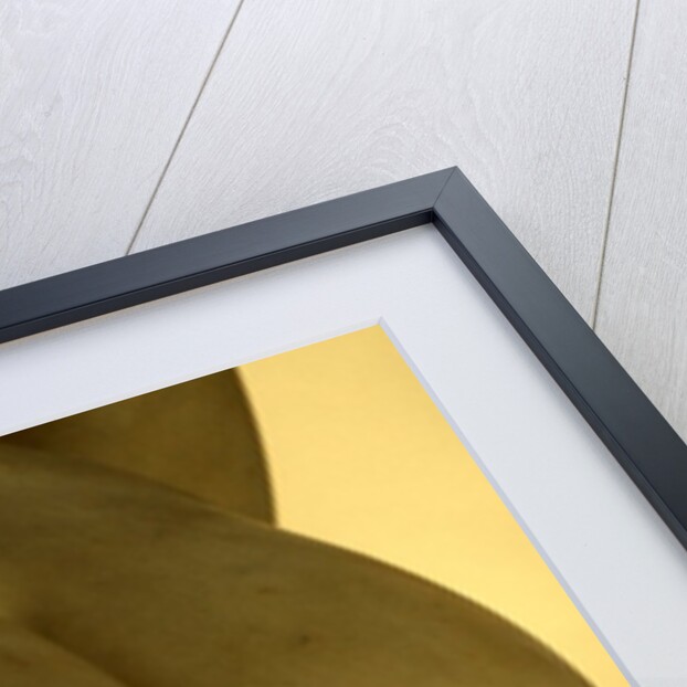 Castor & Pollux, detail by Stuart Cox