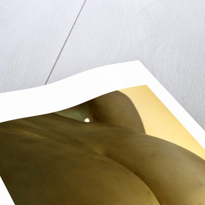 Castor & Pollux, detail by Stuart Cox