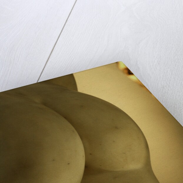 Castor & Pollux, detail by Stuart Cox