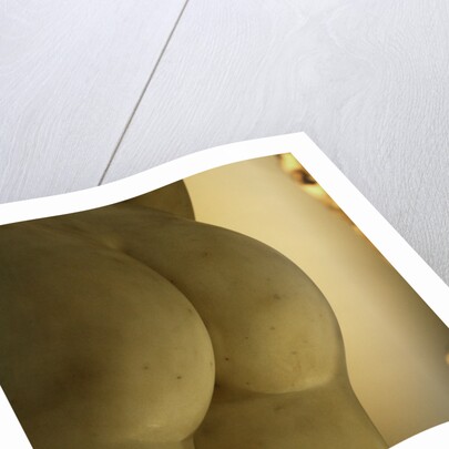 Castor & Pollux, detail by Stuart Cox