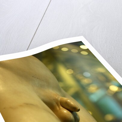 Castor & Pollux, detail by Stuart Cox