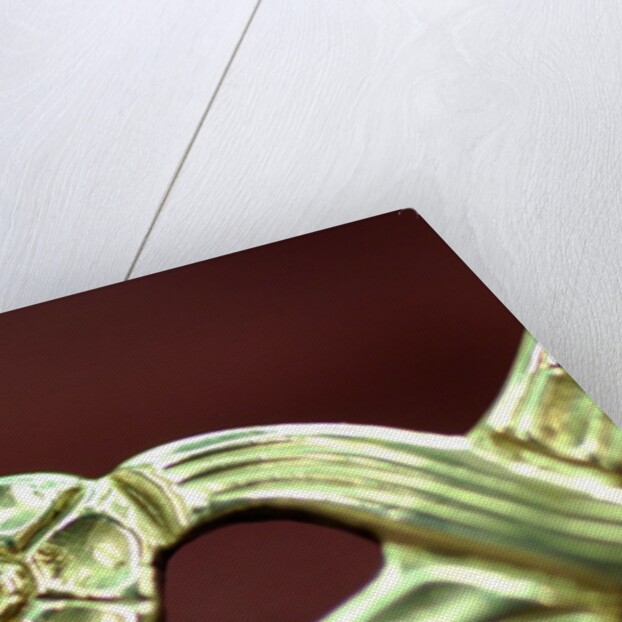Shoe buckle, detail by Stuart Cox