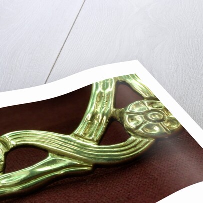 Shoe buckle, detail by Stuart Cox