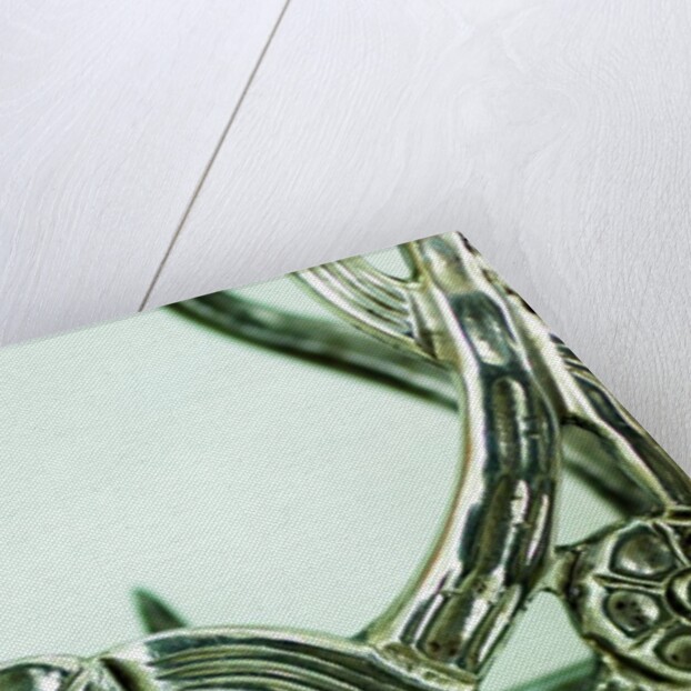 Shoe buckle, detail by Stuart Cox