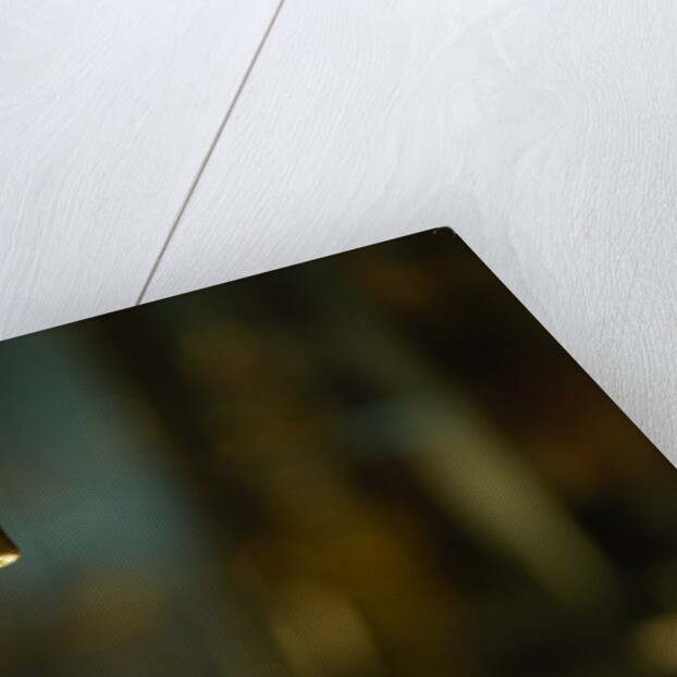 Perfume burner lid, detail by Stuart Cox