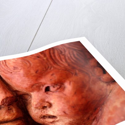 The Virgin and Child by Stuart Cox