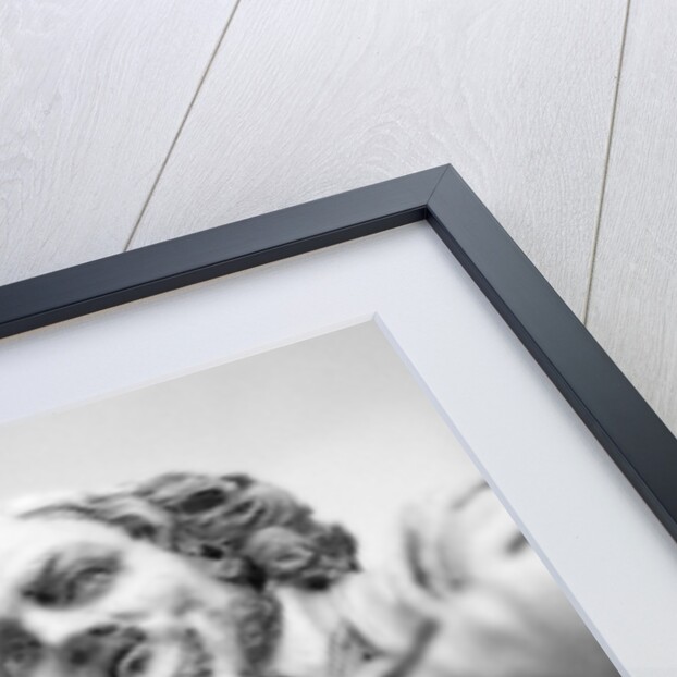 William Shakespeare by Stuart Cox