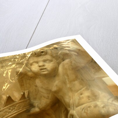 Memorial to Francis Musters in conservation by Stuart Cox