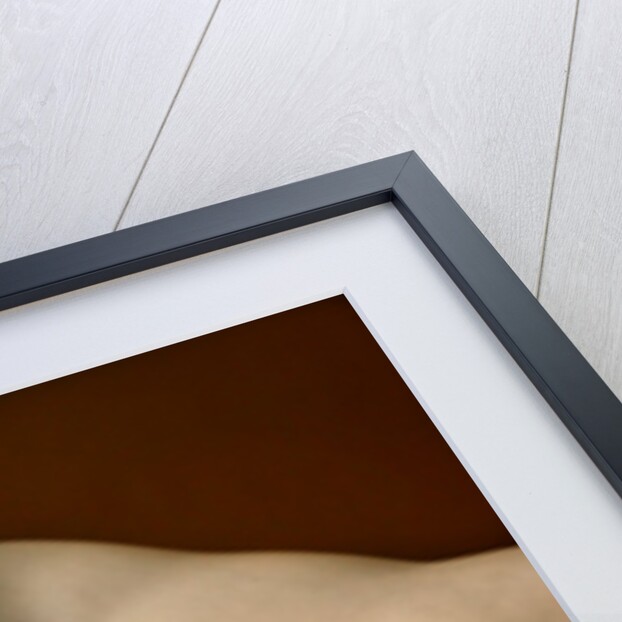 Maternal Affection by Stuart Cox