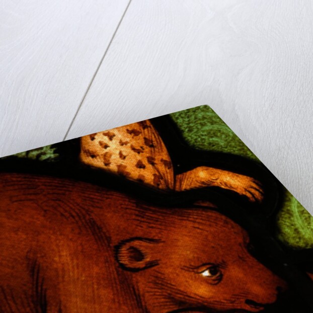 Bear from St by Stuart Cox