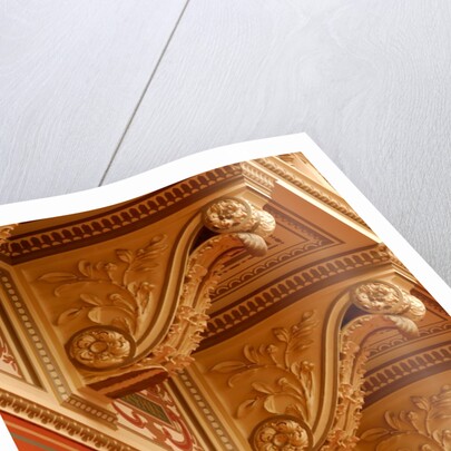 Ceiling cornice by Stuart Cox