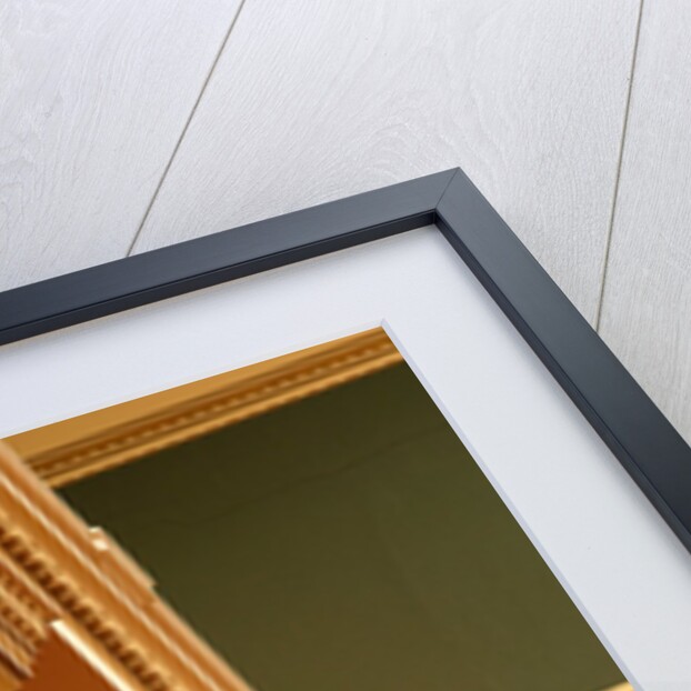 Ceiling cornice by Stuart Cox