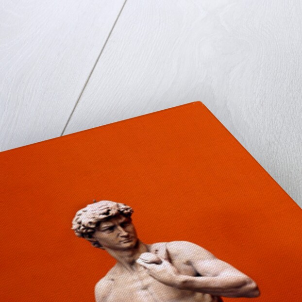 David by Stuart Cox