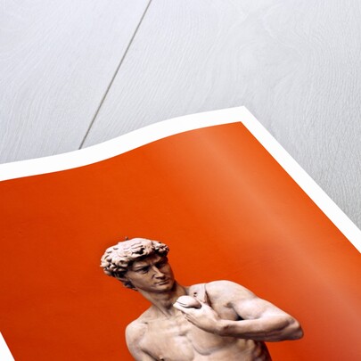 David by Stuart Cox
