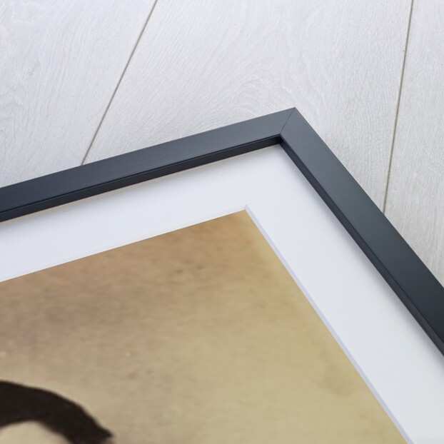 Emily Barry by Lewis Carroll