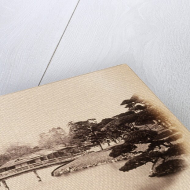 Part of a tycoon's garden at Edo (Tokyo) by Felice Beato
