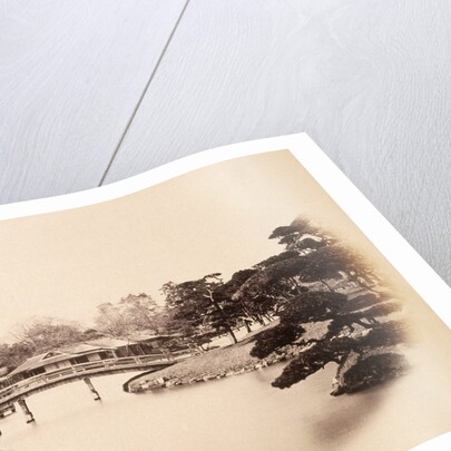 Part of a tycoon's garden at Edo (Tokyo) by Felice Beato