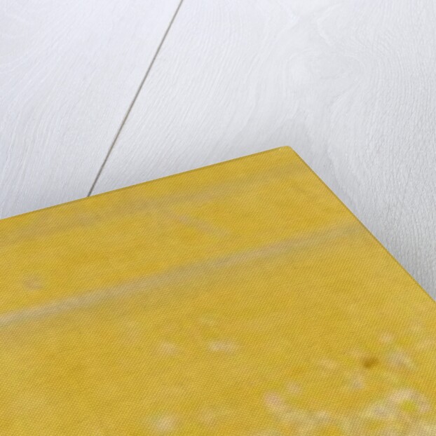 Oriental yellow patterned strip by Unknown