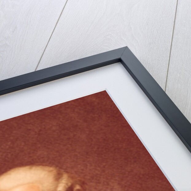 Joseph Haydn by Luigi Schiavonetti