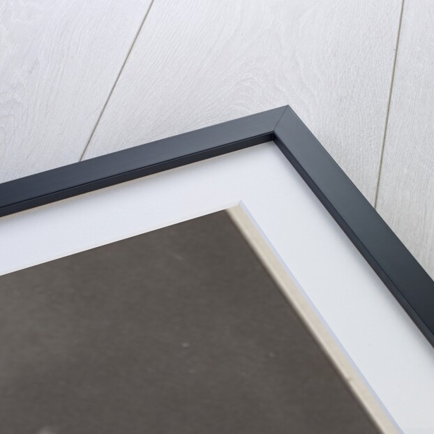 Ebony and Ivory by Fred Holland Day