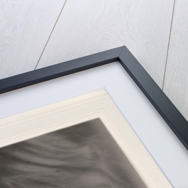 A Head (Beatrice Baxter Ruyl) by Fred Holland Day