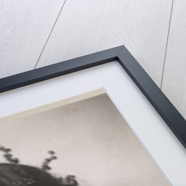 Woman in Leopard Skin (Chloe) (Ethel Reed) by Fred Holland Day