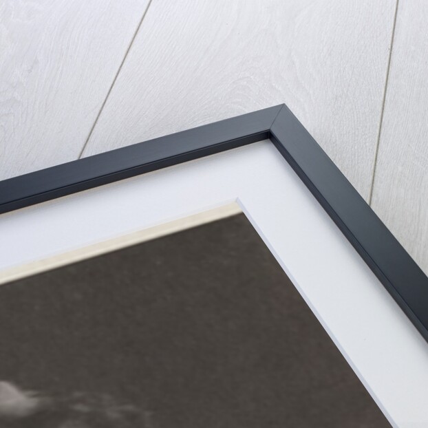 Model with Lily by Fred Holland Day