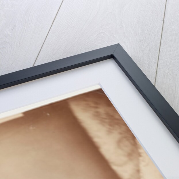 Adam Salomon by Henry Peach Robinson