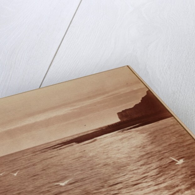 Seagulls by Henry Peach Robinson