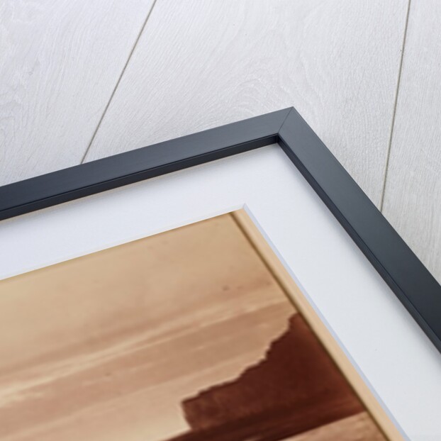 Seagulls by Henry Peach Robinson