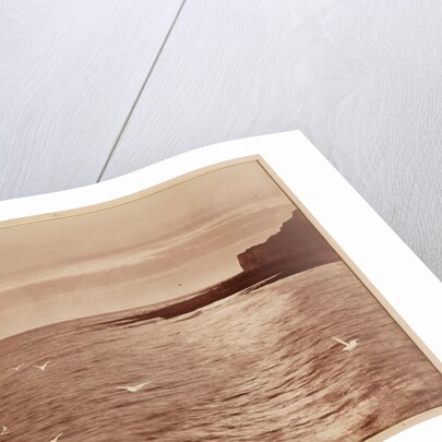 Seagulls by Henry Peach Robinson