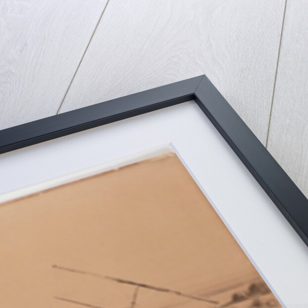 A Strange Fish by Henry Peach Robinson