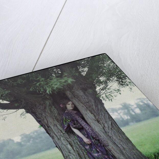 The Dryad by John Cimon Warburg