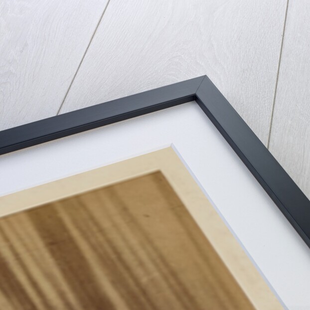 Fancy Dress by Oscar Gustav Rejlander