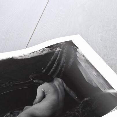 Reclining Female Nude by Dorsal