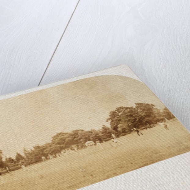 A Cricket Match by Roger Fenton