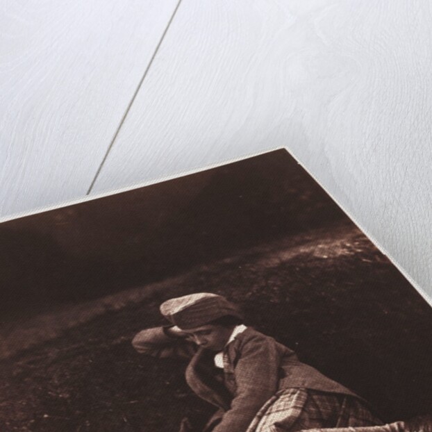 The young Prince Alfred by Roger Fenton