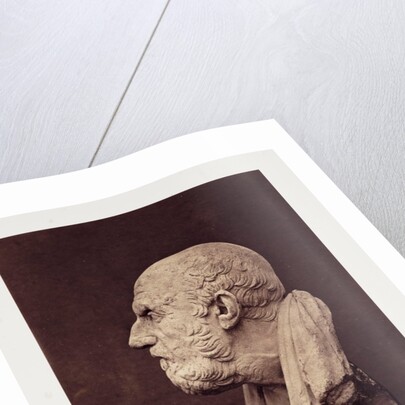 Diogenes by Roger Fenton