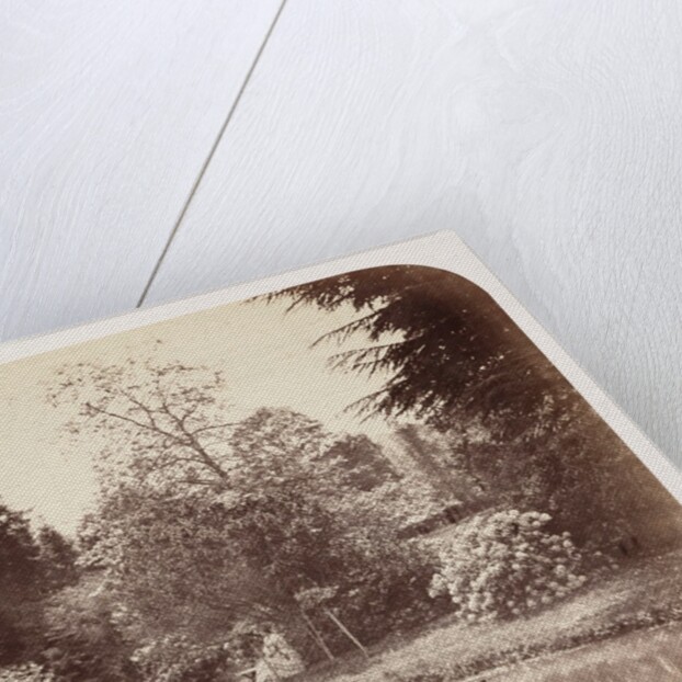 Books in the Running Brooks by Roger Fenton