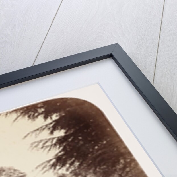 Books in the Running Brooks by Roger Fenton