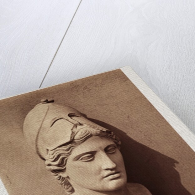 Head of Minerva by Roger Fenton