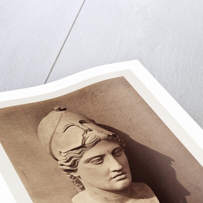 Head of Minerva by Roger Fenton