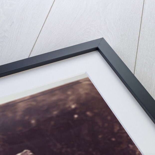 A Ghillie at Balmoral by Roger Fenton